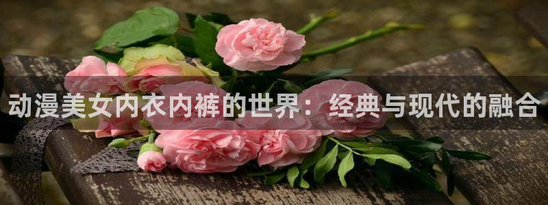 风车动漫海贼王：动漫美女内衣内裤的世界：经典与现代的融合